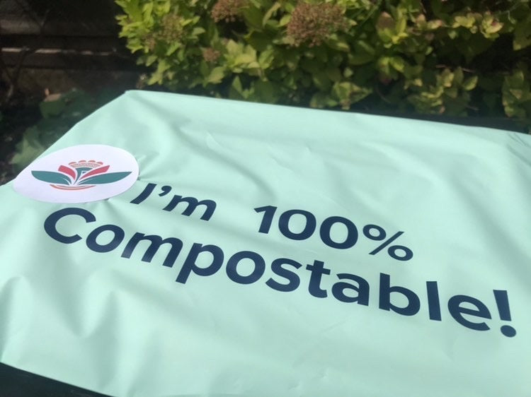 Fitonia: Sustainable Streetwear | Tishwish Mailers and more | Tishwish ...